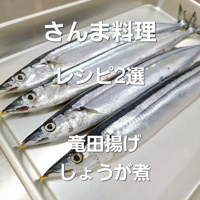 前川料理教室　さんま料理  “さんまの竜田揚げ・さんまの生姜煮”  同じさんまでも食感の違う料理に仕上がります
竜田揚げのさんまは、揚がったら熱いうちに
中骨を抜いてみてください
生姜煮も同じようにさんまを煮たら中骨が抜けます
新米とともに秋の味を楽しみましょう  #前川料理教室　#家庭料理　#料理教室　#秋　#さんま　#秋刀魚　#手作り　#手料理　#レシピ　#自炊　#食卓　#食事　#クッキング　#習い事　#料理初心者　#魚　#三重県　#松阪市　#maegawa_cooking_school  #cooking
